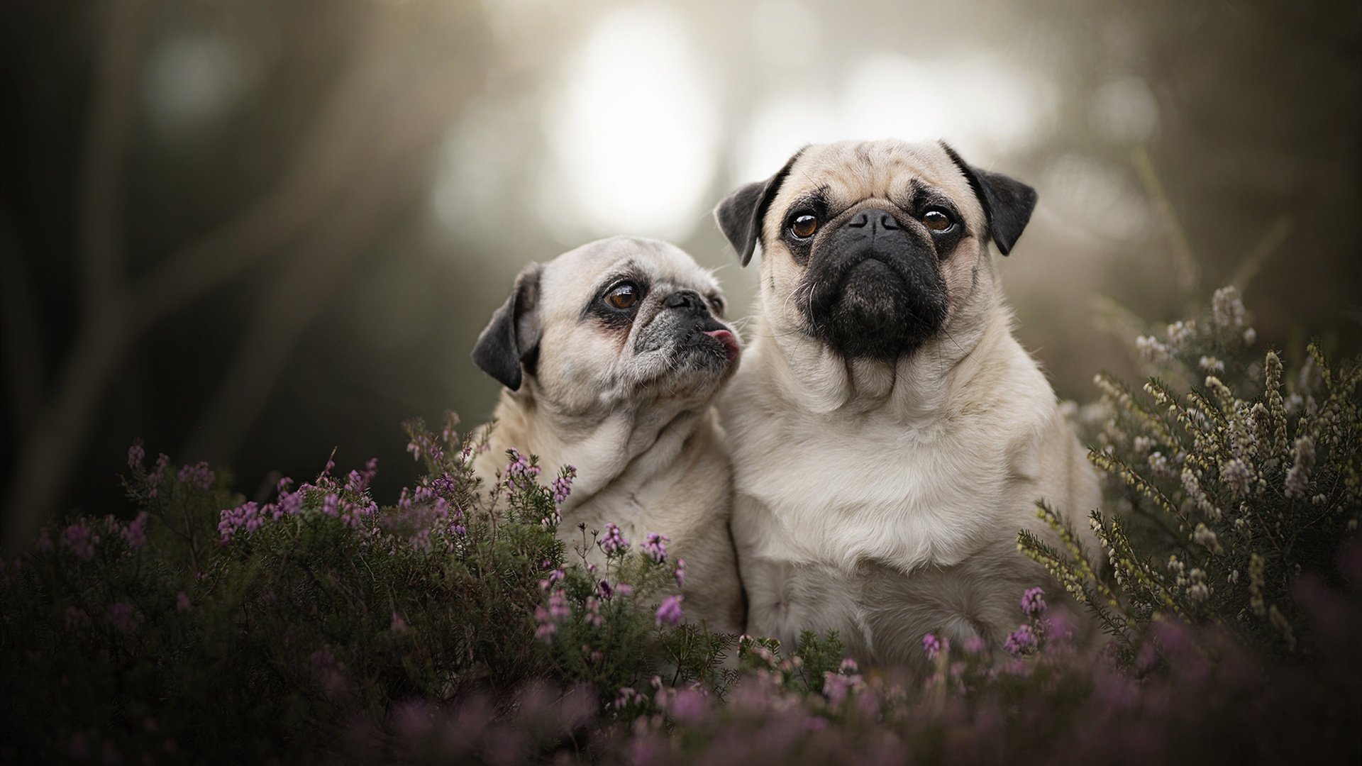 九游sports-《中国篮球发展报告》发布，行业发展迎来新周期，中国篮球发展现状和未来