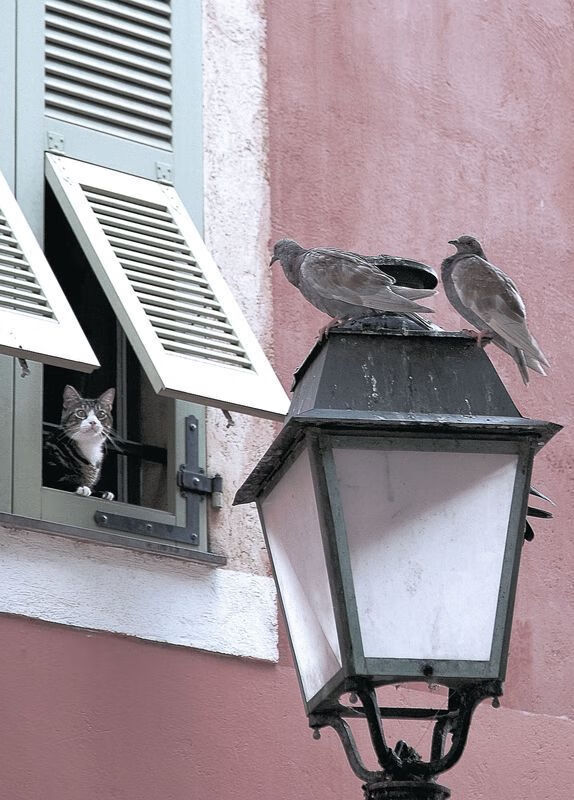 线上线下融合新趋势,打造全民电竞盛宴,线上线下融合的新模式还有哪些