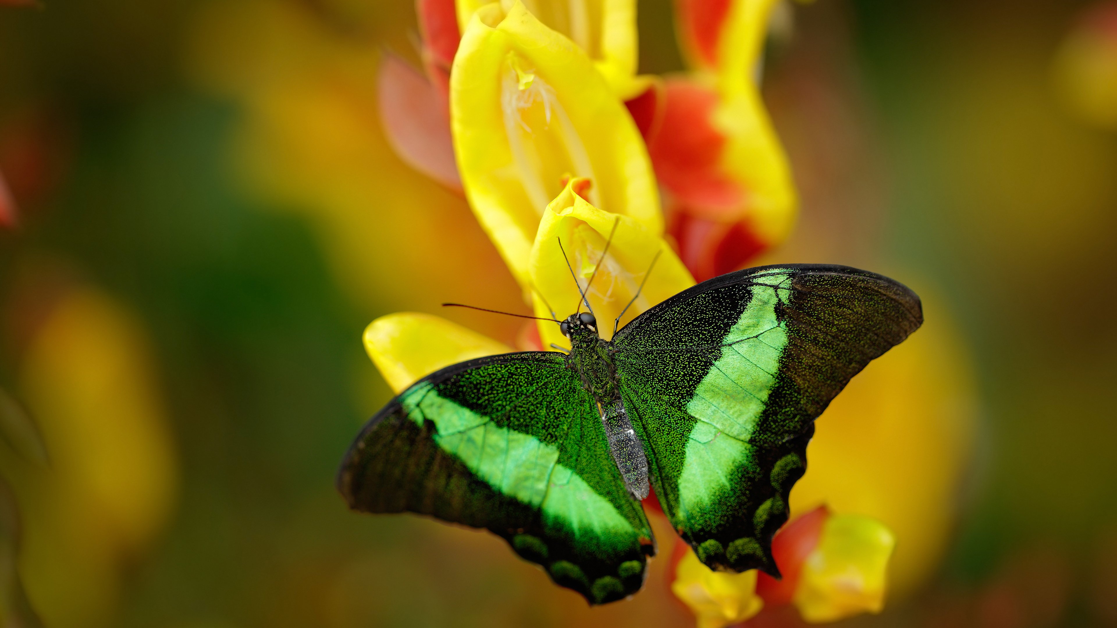 九游娱乐官网 (JIUYOU)-青少年篮球“极限运动风”展演在广州盛大举办，青少年篮球学校