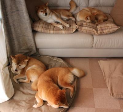 AC米兰遭逆转失利,积分停滞不前,ac米兰2021-2022