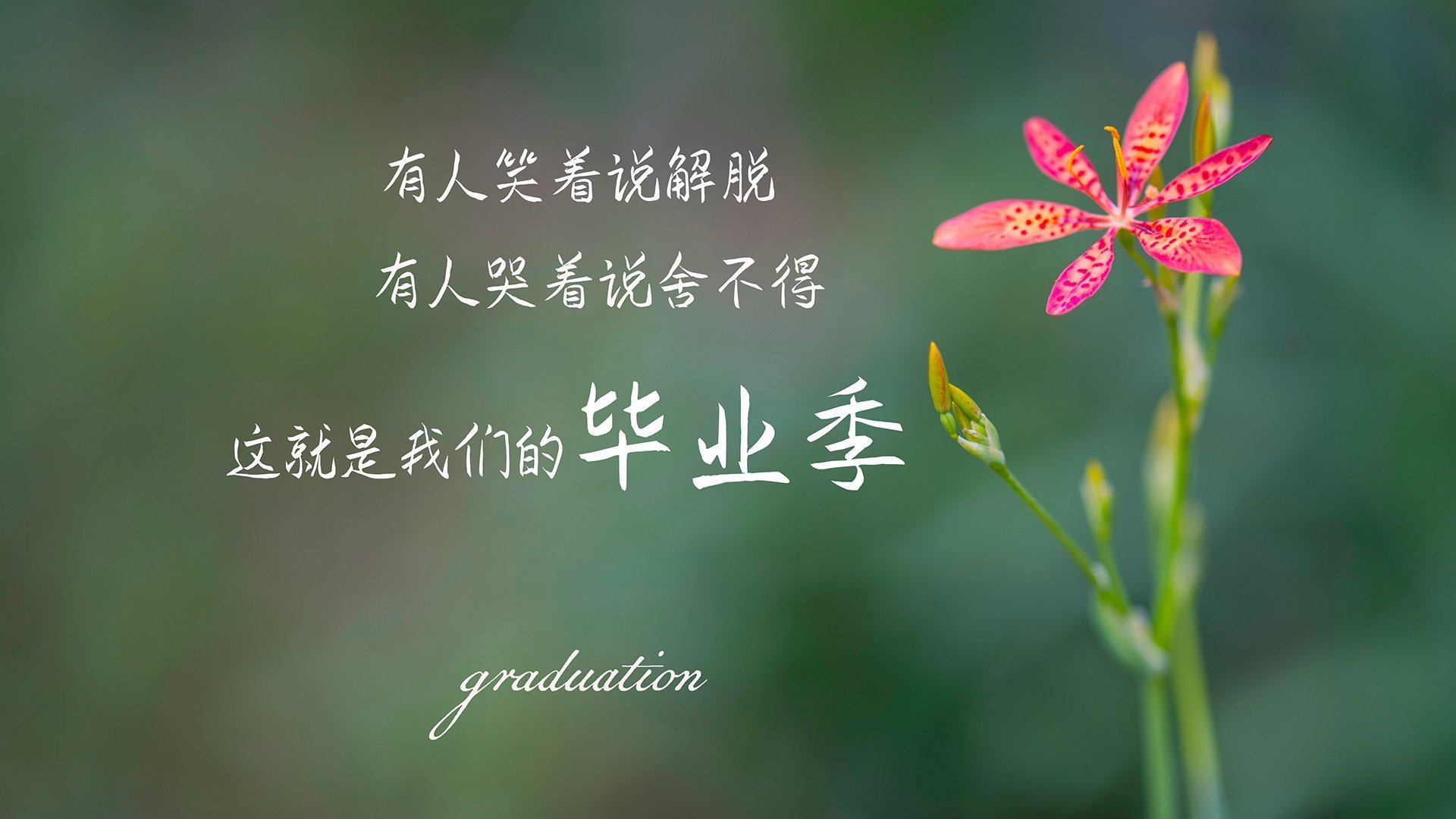 AC米兰遭逆转失利,积分停滞不前,ac米兰2021-2022