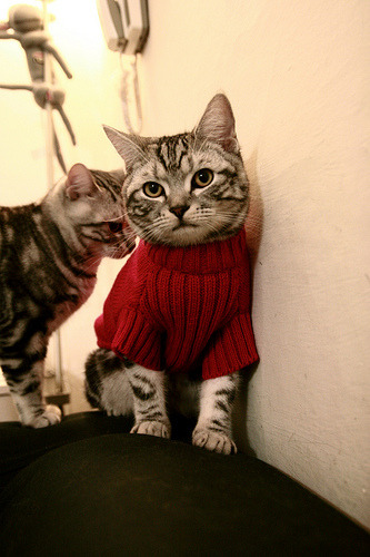 九游官网pc-北京首钢攻防转换速度明显加快，北京首钢动态