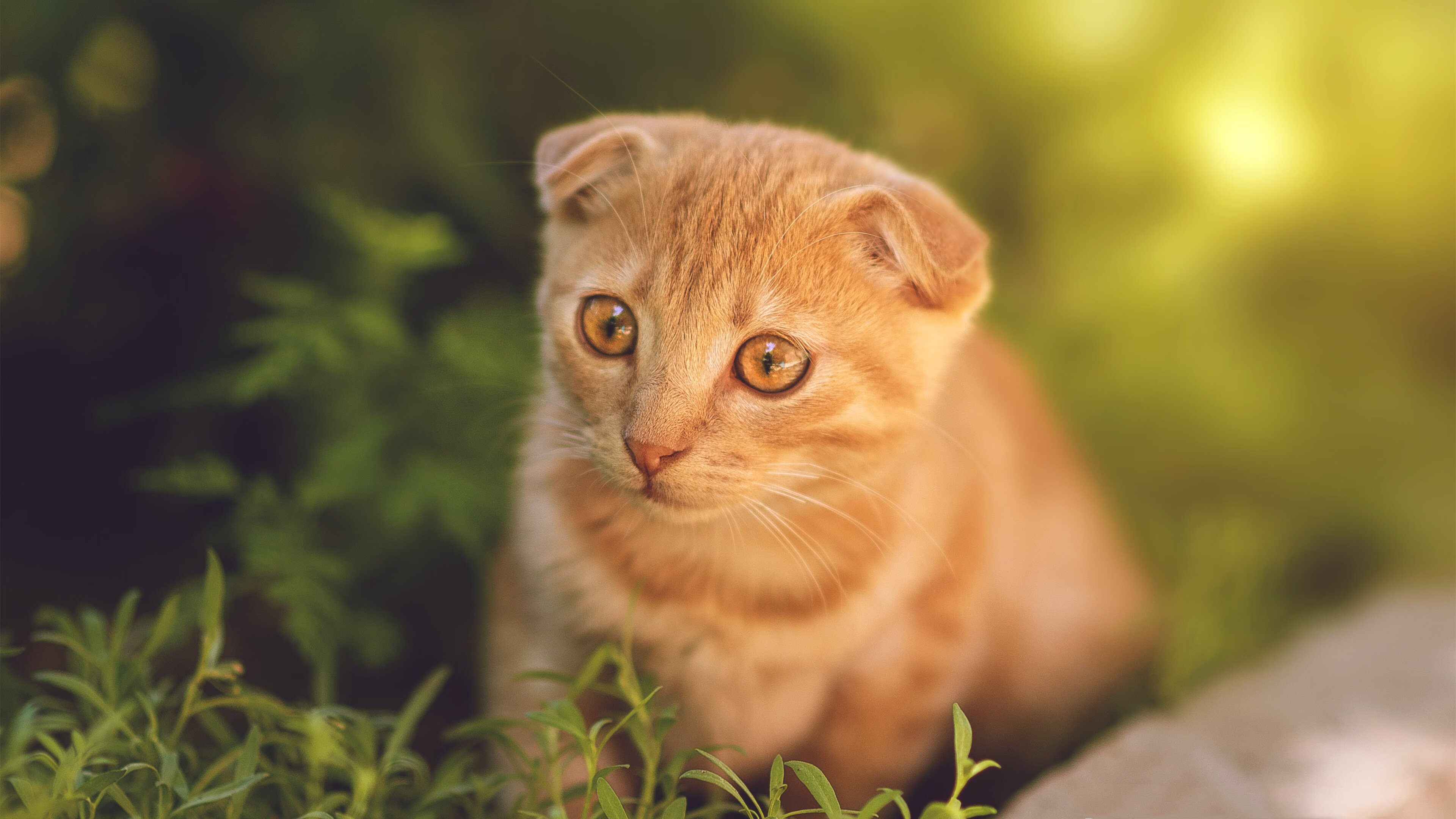 九游登录中心-堡垒之夜冠军杯开战在即，堡垒之夜决赛圈