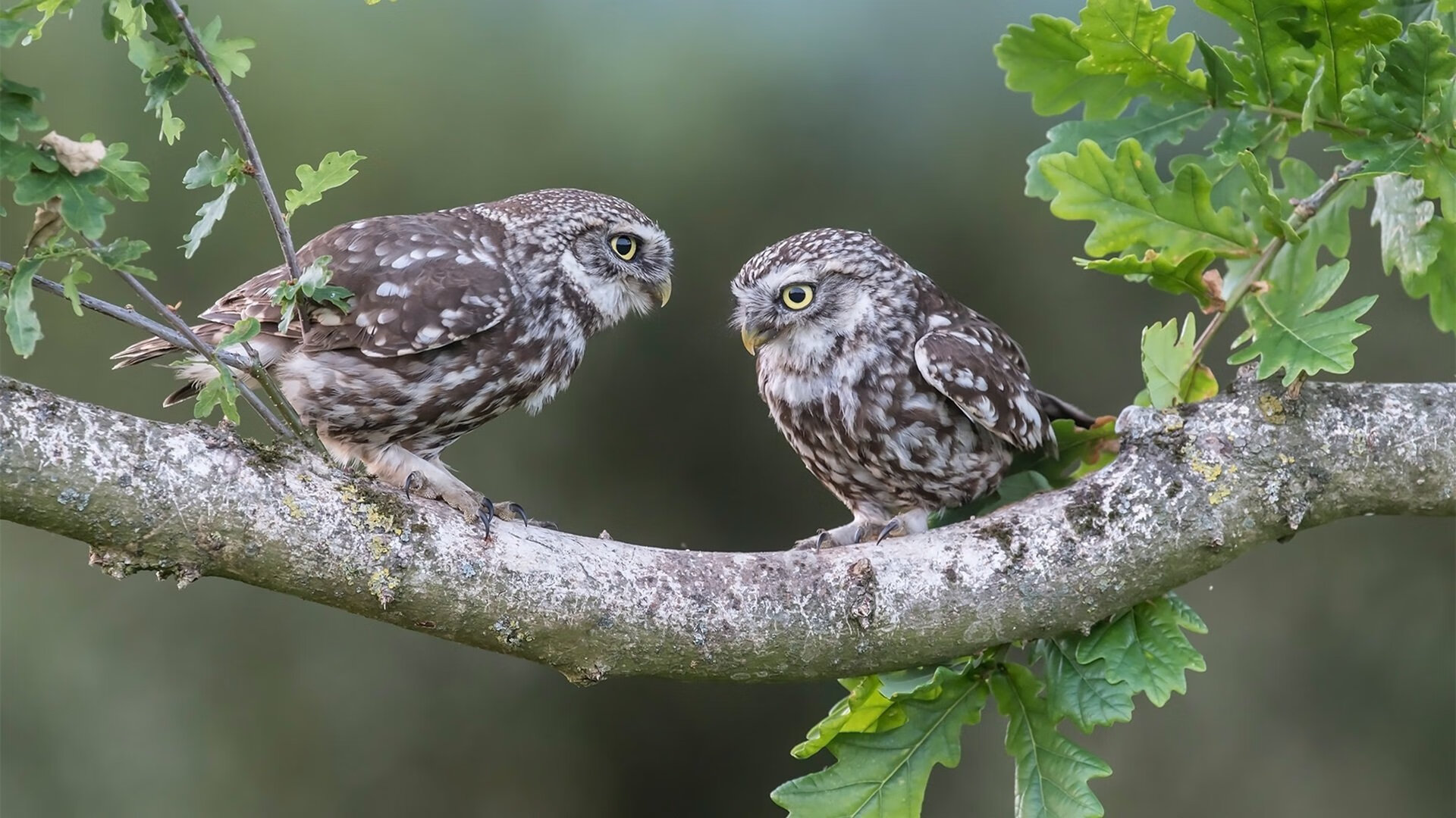 堡垒之夜冠军杯开战在即,堡垒之夜决赛圈
