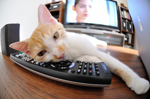 九游下载安装-比利时队在足球赛事中取得巨大胜利，比利时足球拿过什么冠军