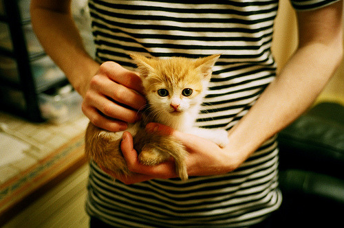 九游官网下载电脑版-沙特联赛外援政策助力联赛飞跃，沙特足球联赛外援政策