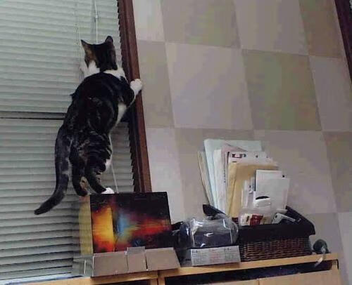 九游下载中心-甘肃嘉峪关队员斗志昂扬，势不可挡，甘肃嘉峪关视频