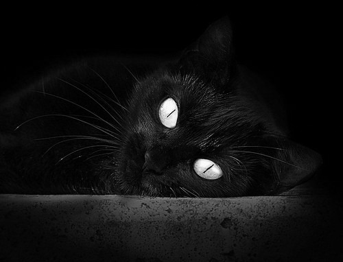 九游登录入口-葡萄牙战胜荷兰，晋级欧国赛八强，葡萄牙对荷兰欧国决赛