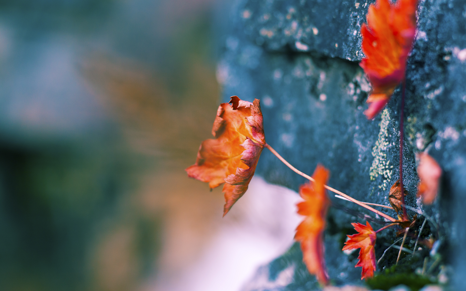 九游下载中心-赖斯在对阵利物浦的比赛中贡献关键助攻，赖斯 中后卫