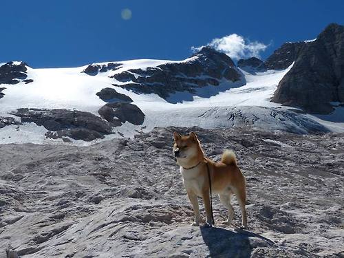 九游网游官网-重要赛事技战术风格鲜明，竞赛比赛战术的概念是什么_由哪些部分组成_