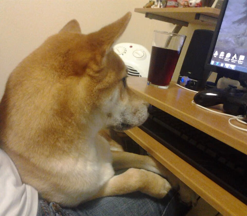 篮球运动员专项技能动作规范化训练体系,篮球运动员专项技能特征