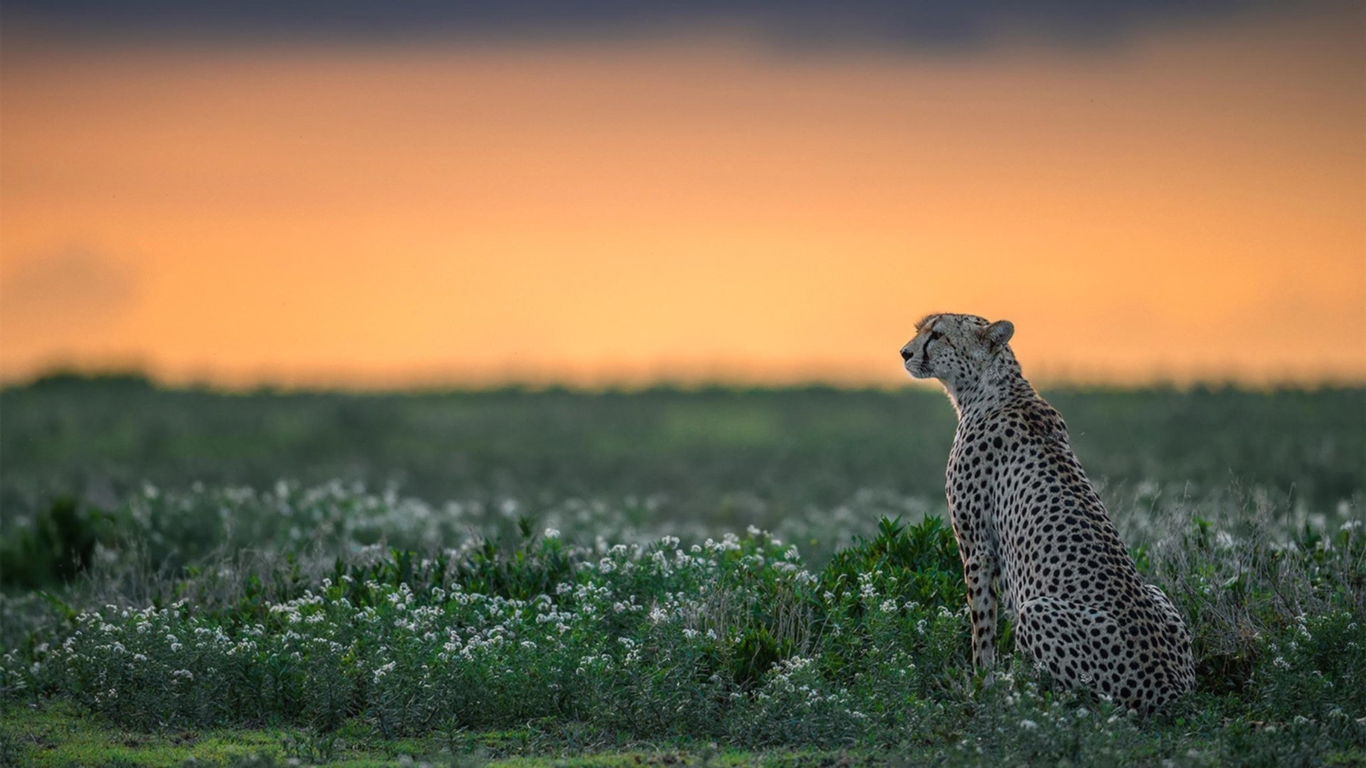 九游网页版入口-“2025世界运动会：高新体育中心健力赛场，选手挑战世界纪录”