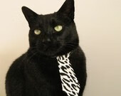 辽宁队士气高涨冲击总冠军意愿强烈，辽宁队全队