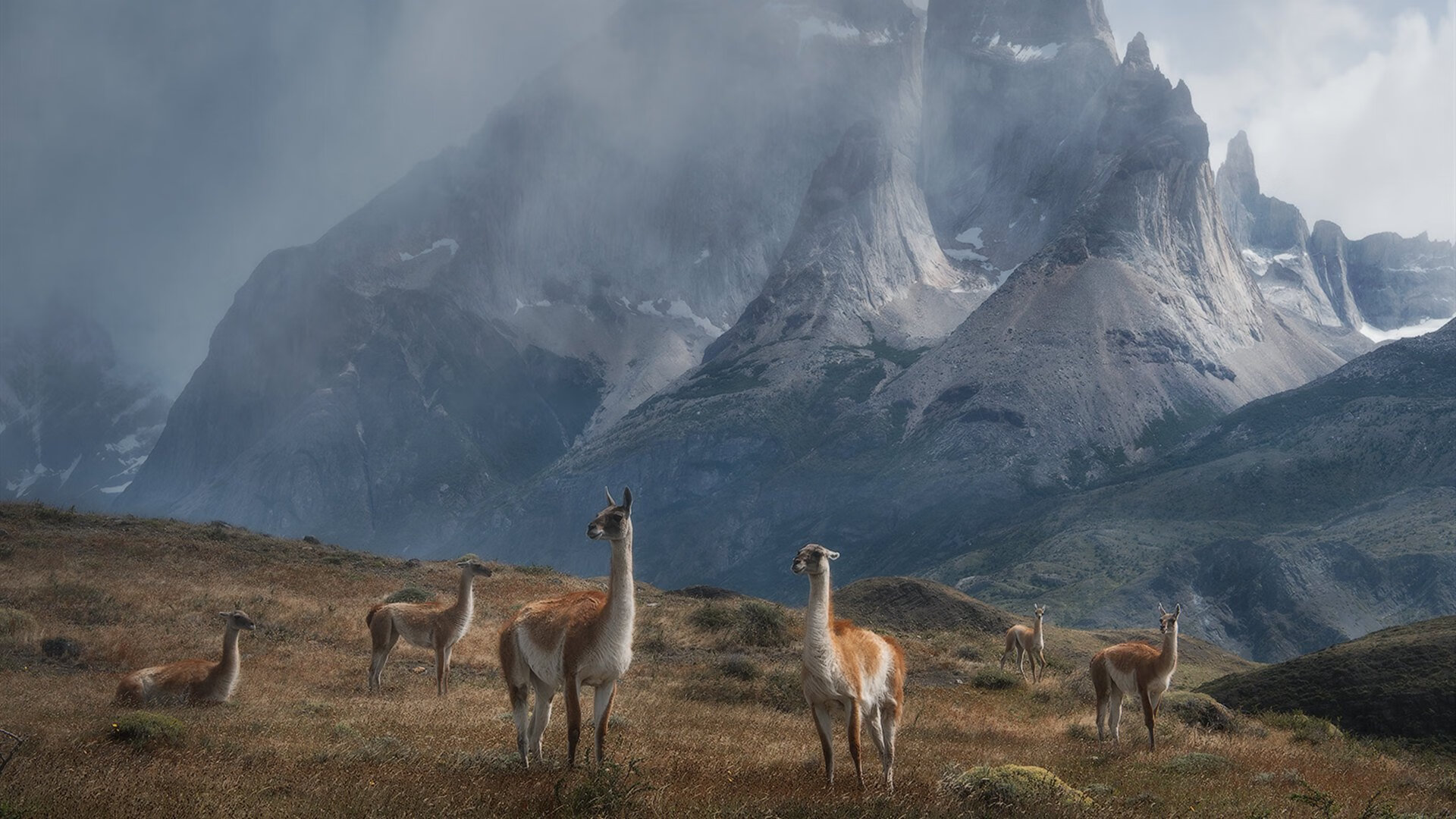 Jiu You-丁俊晖单杆破百淘汰世界冠军，丁俊晖获得冠军