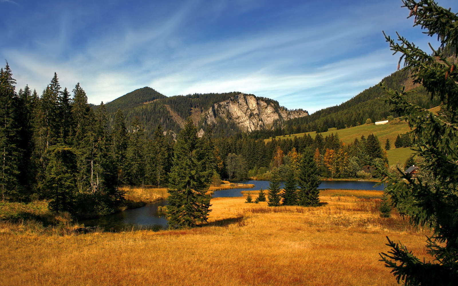 体育新闻中心公布国际裁判中文翻译术语标准更新，国际裁判英文