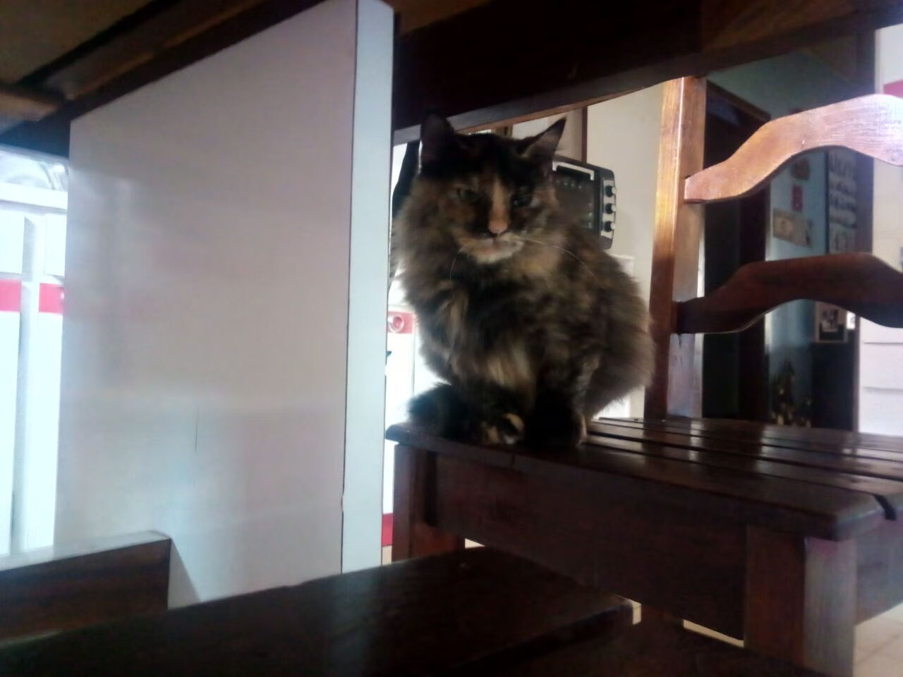 朱婷训练照曝光手指仍缠着绷带,朱婷的手受伤了吗