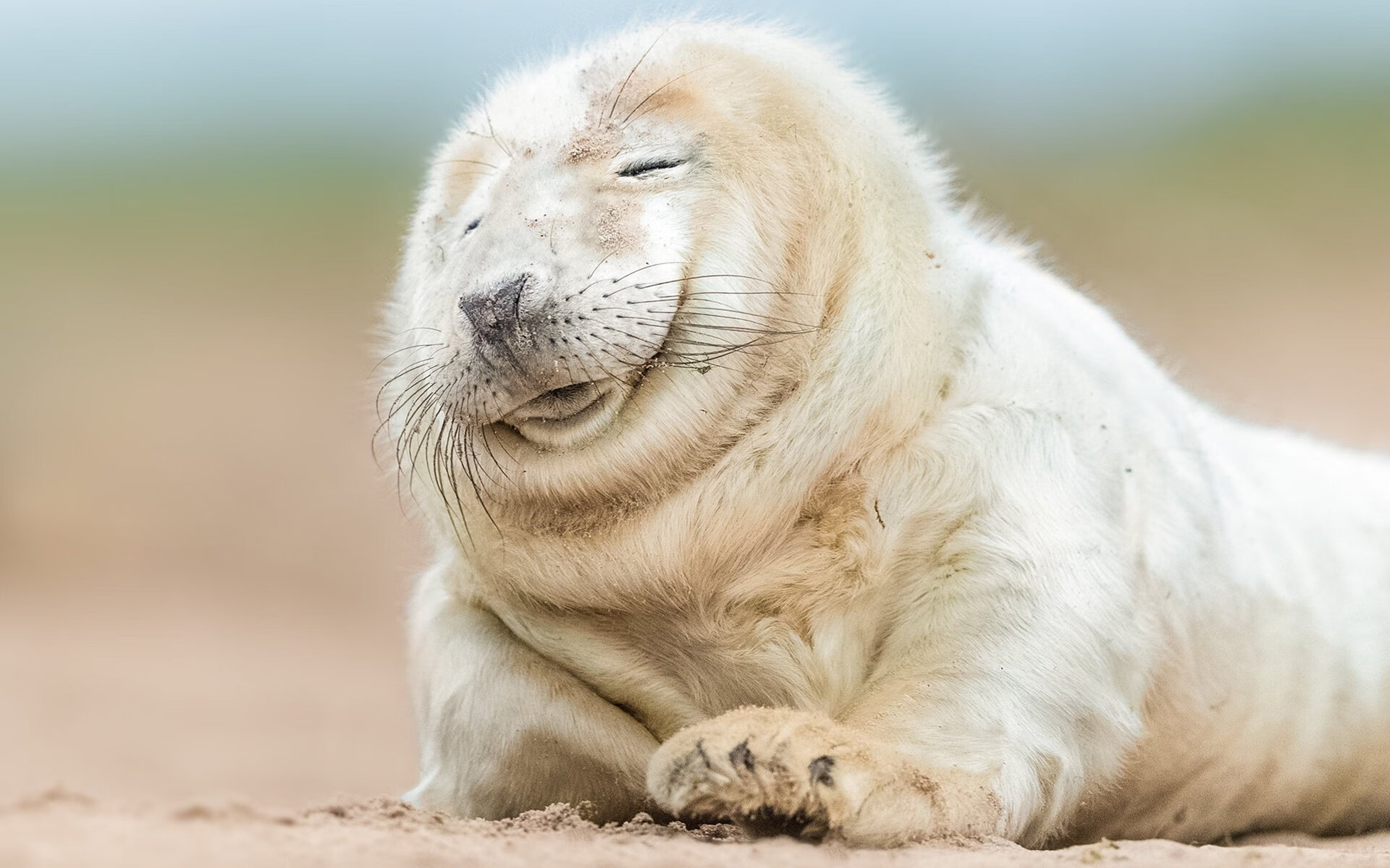 谷爱凌登上体育频道封面再成焦点，谷爱凌专访