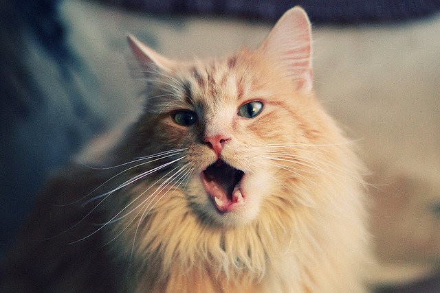 九游登录入口-高校篮球发展战术多样性丰富比赛打法，高校篮球教学